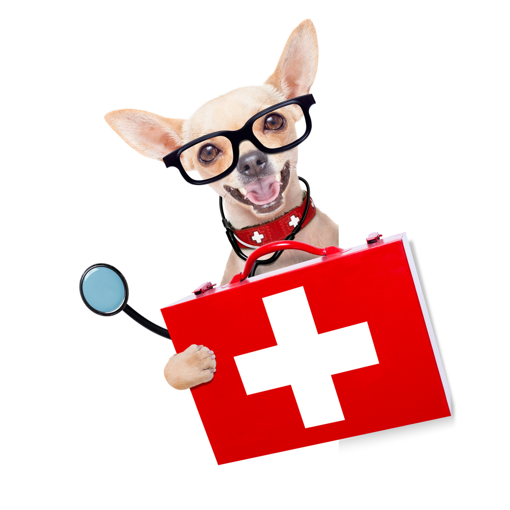 schon daran gedacht?